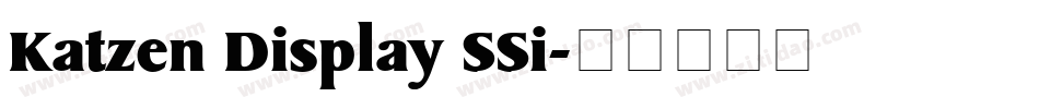 Katzen Display SSi字体转换